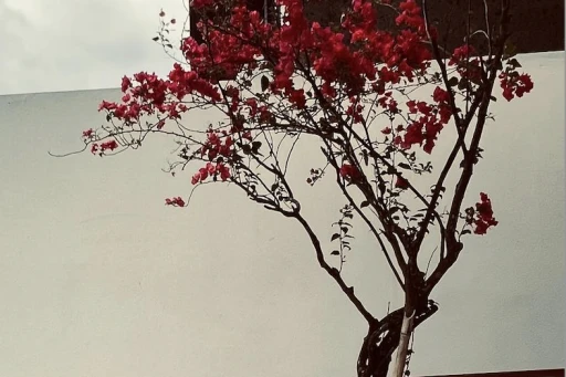 Blog 5